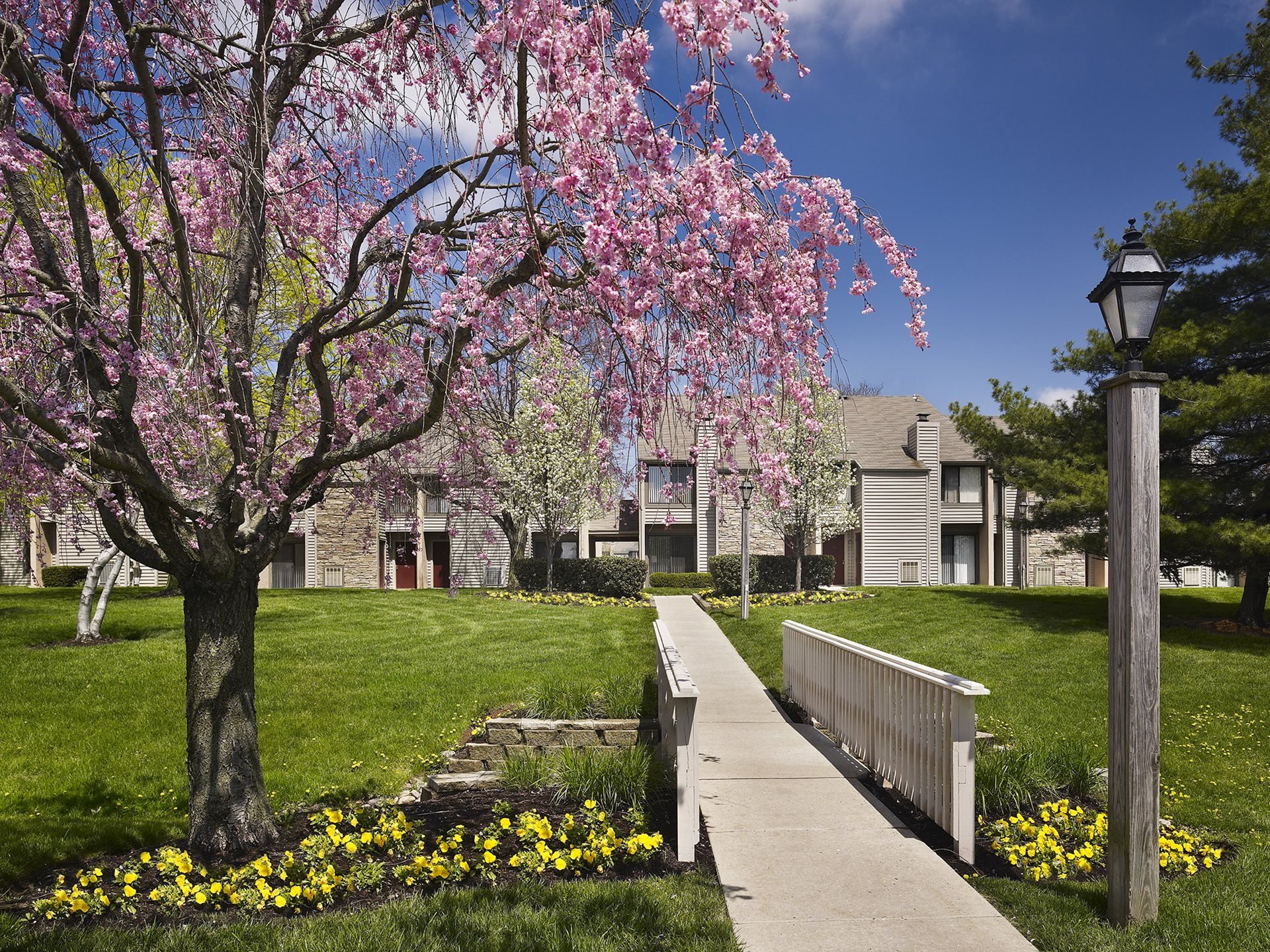 AVE Blue Bell villas exterior