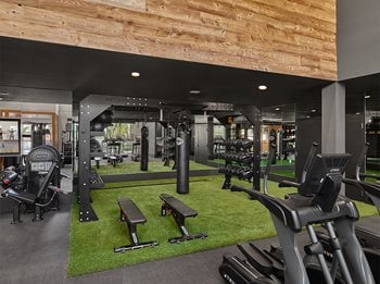 Fitness center weight area with turf flooring, benches, free weights, and boxing sand bag