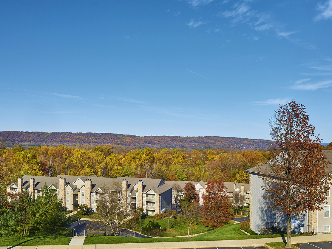 Great Valley Views